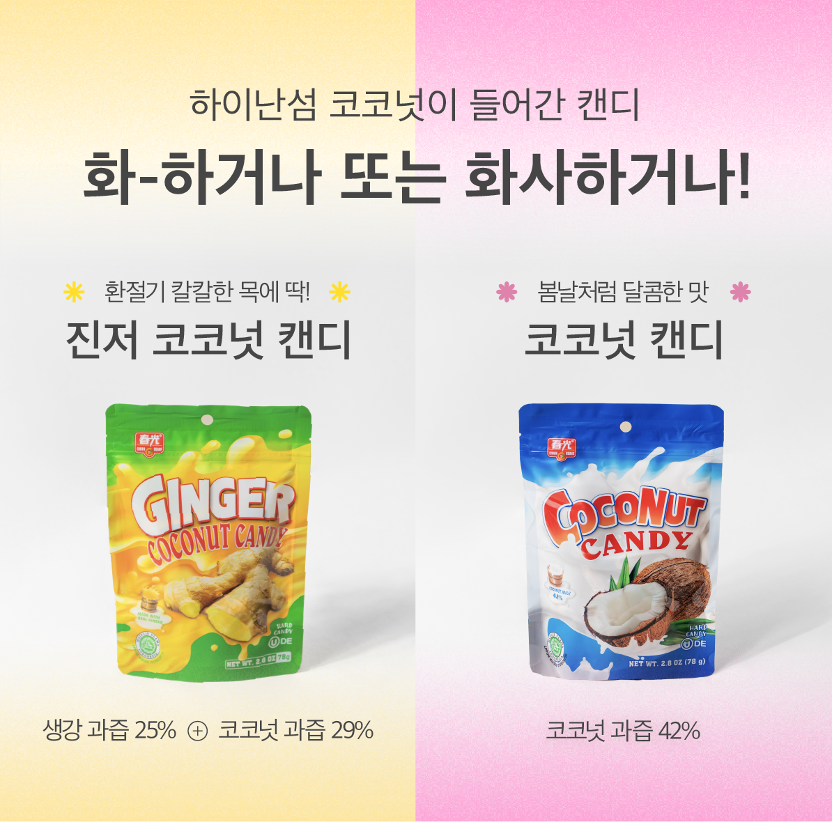 따뜻한 봄날의 빛, 춘광과 함께하는 화이트데이!