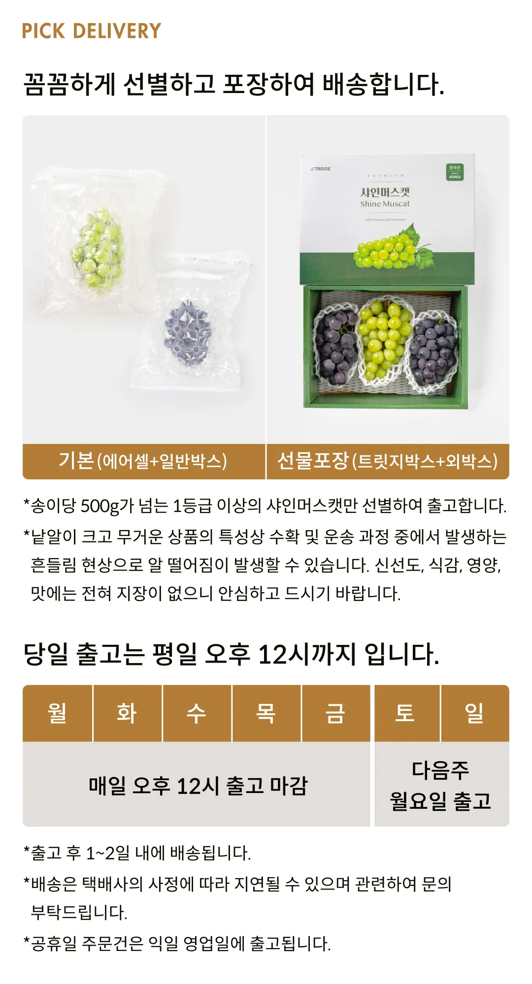 새콤한 거봉과 달콤한 샤인의 만남! '샤봉봉' 포도세트