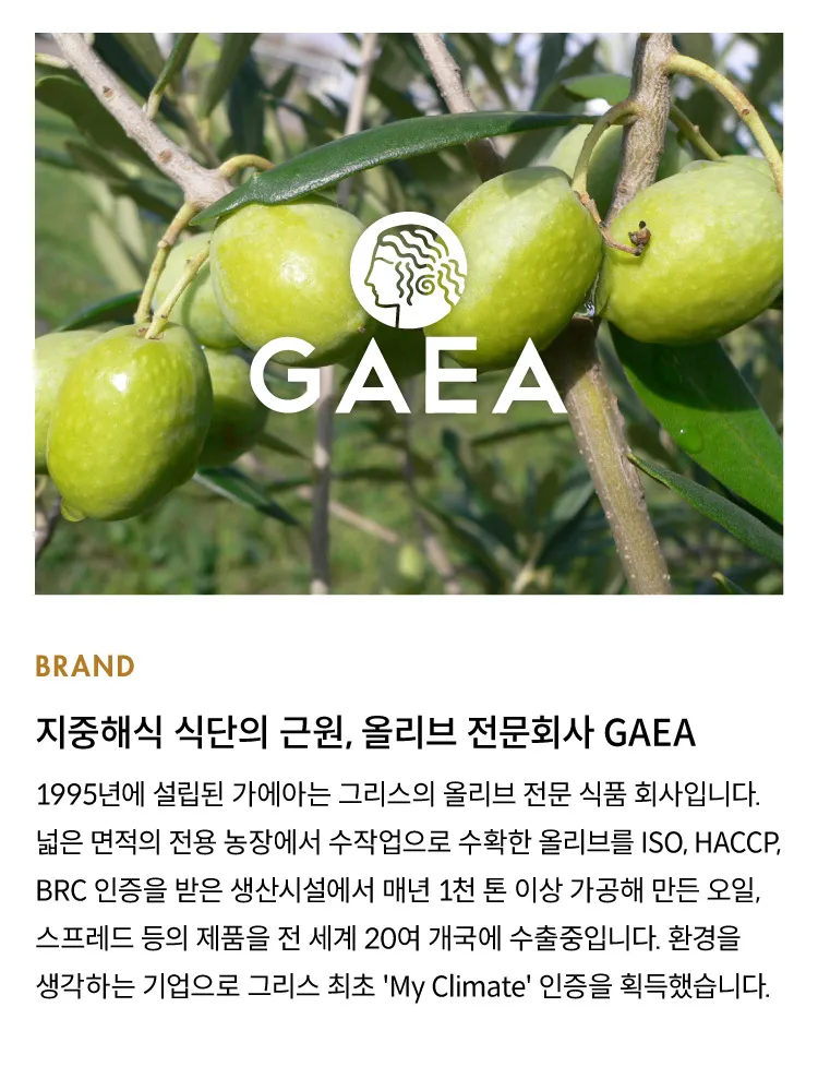 [가에아] 하프 커팅 올리브 2종