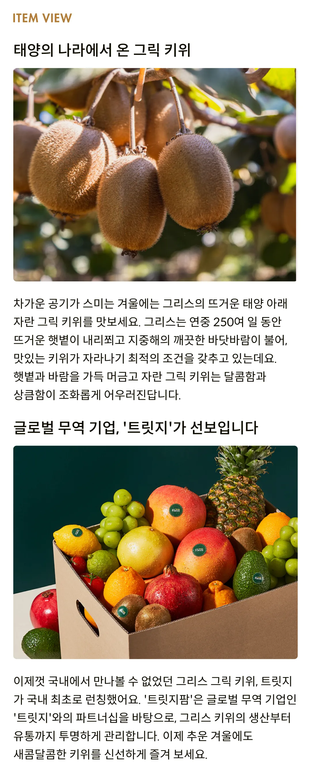 [제철과일] 그릭 키위 (그린)