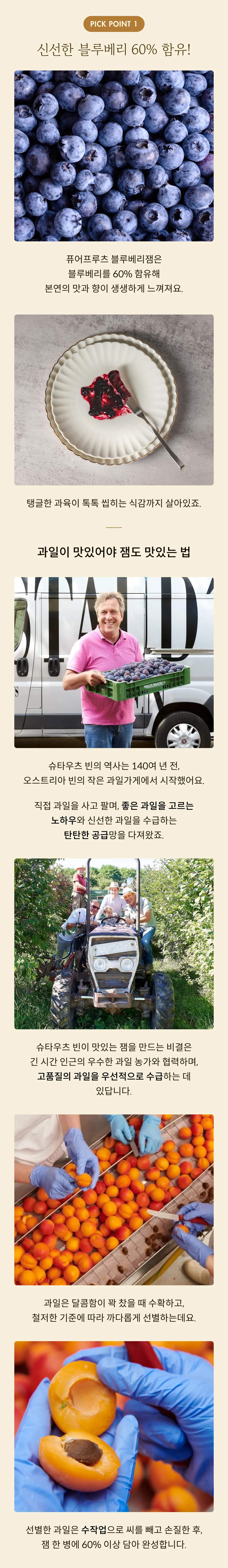 [슈타우츠빈] 퓨어프루츠 블루베리잼 250g