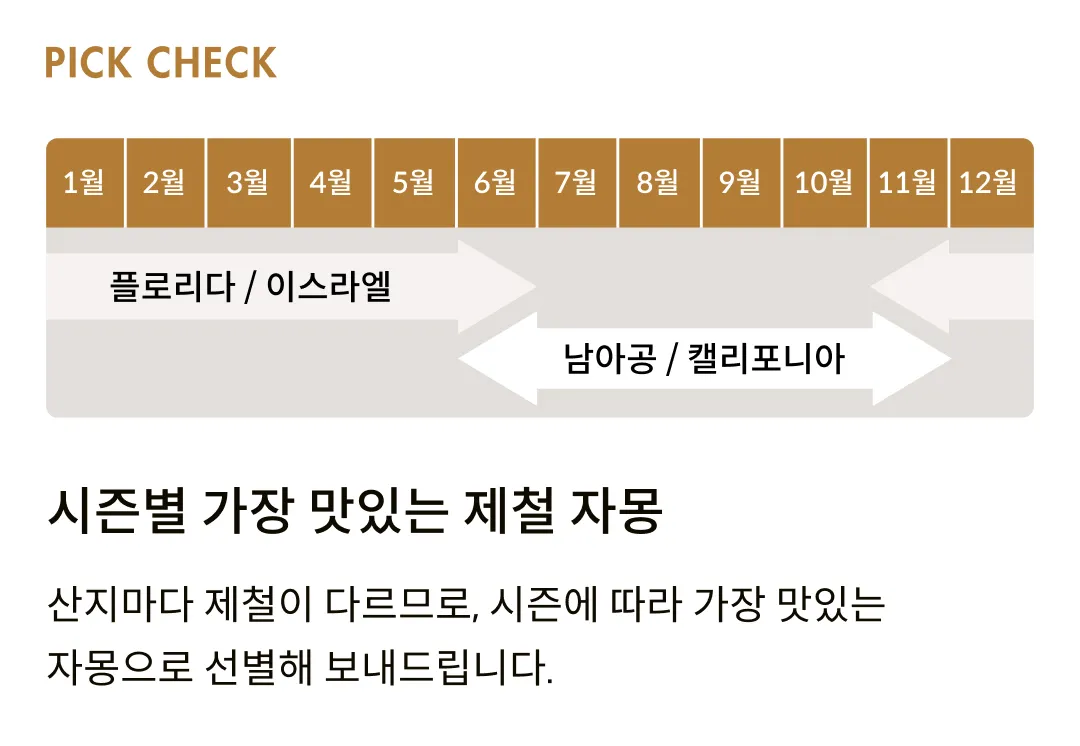 [제철과일] 남아공 자몽 중대과 (5입, 10입, 20입)