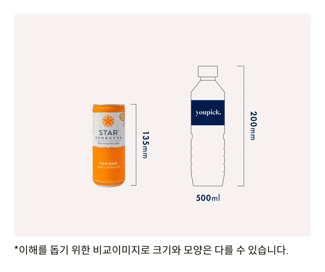[스타 콤부차] 피치 파라다이스 250ml