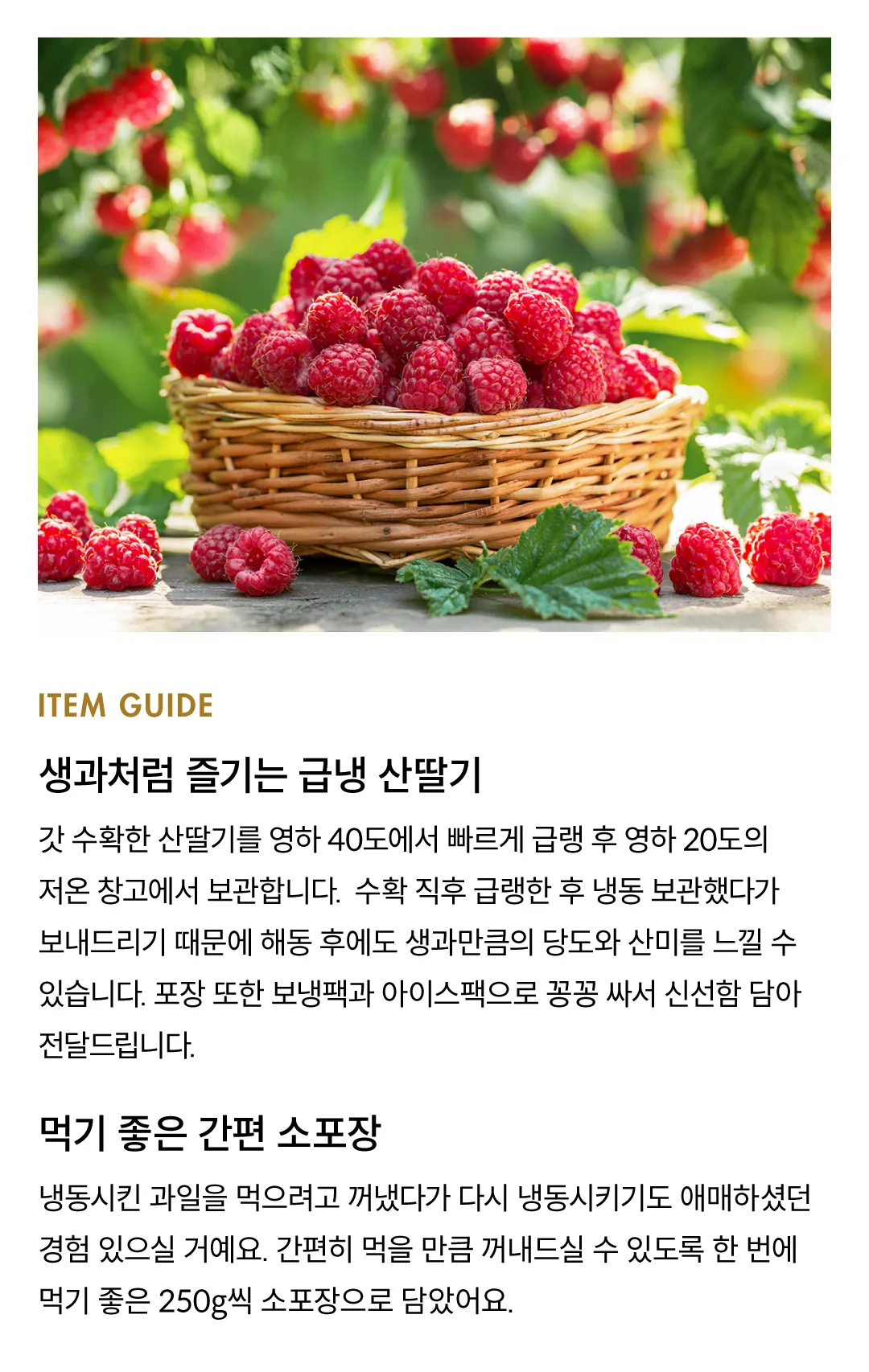 [소용량] 새콤달콤 포항 급냉 산딸기 500g