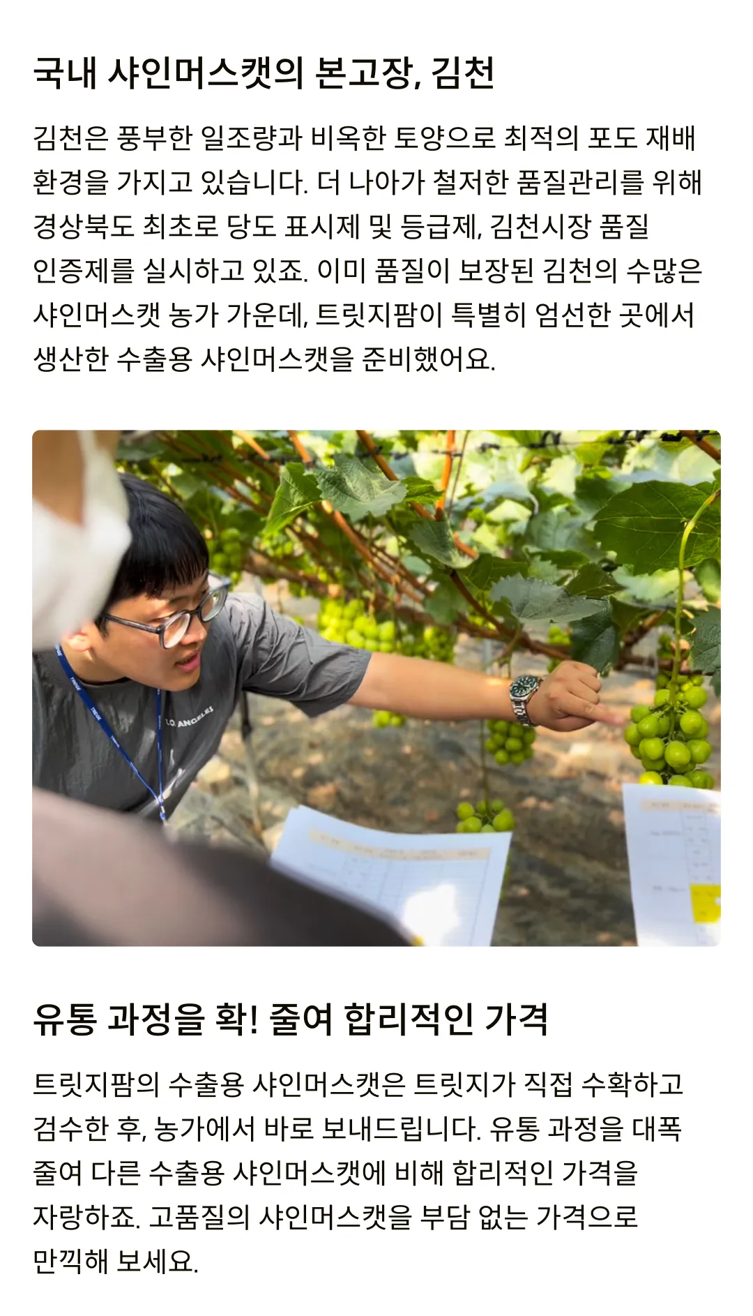 [수출용] GAP인증 프리미엄 샤인머스캣 (1.5kg, 2kg)