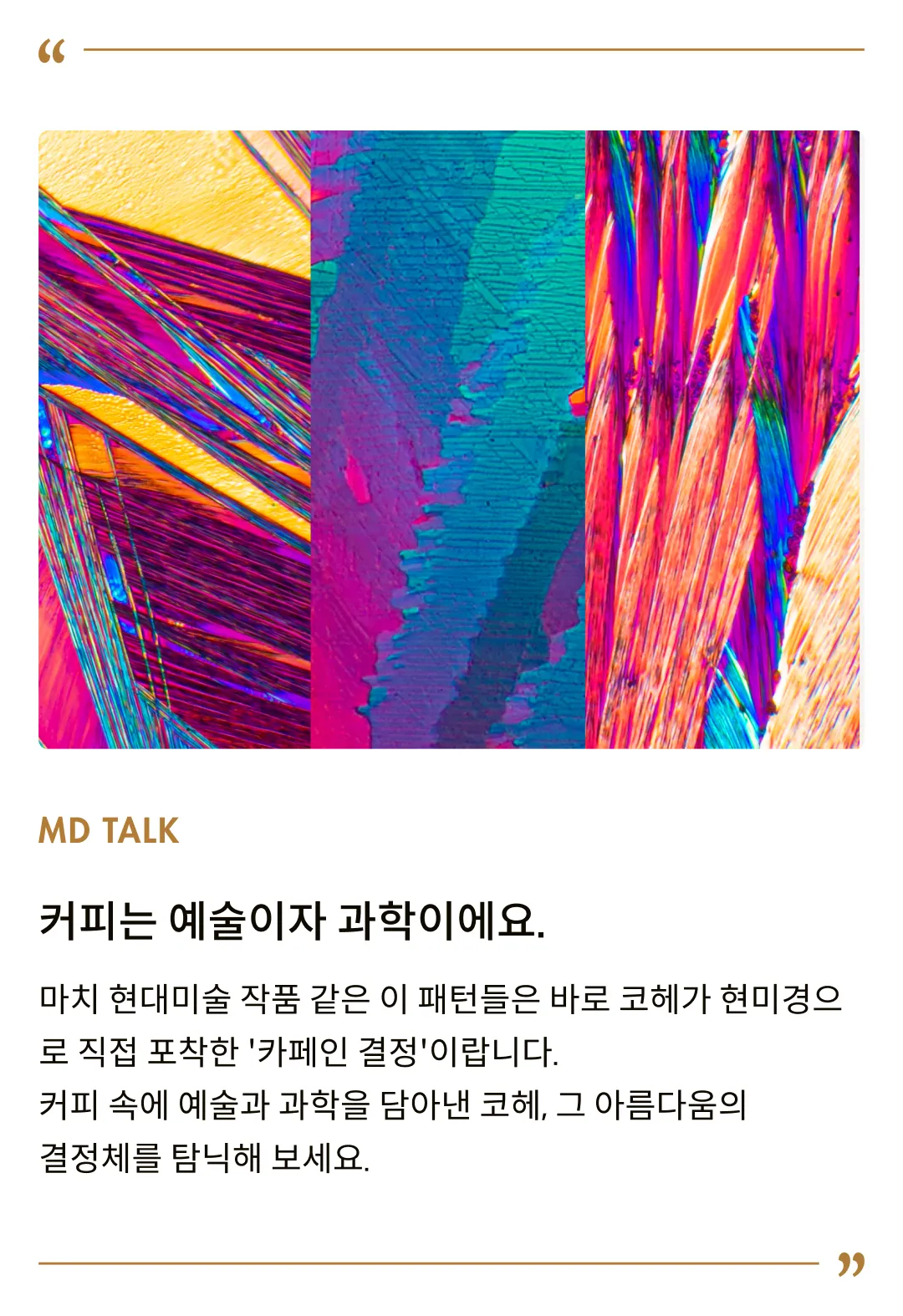 [코헤] 한달+10일팩 (40스틱)