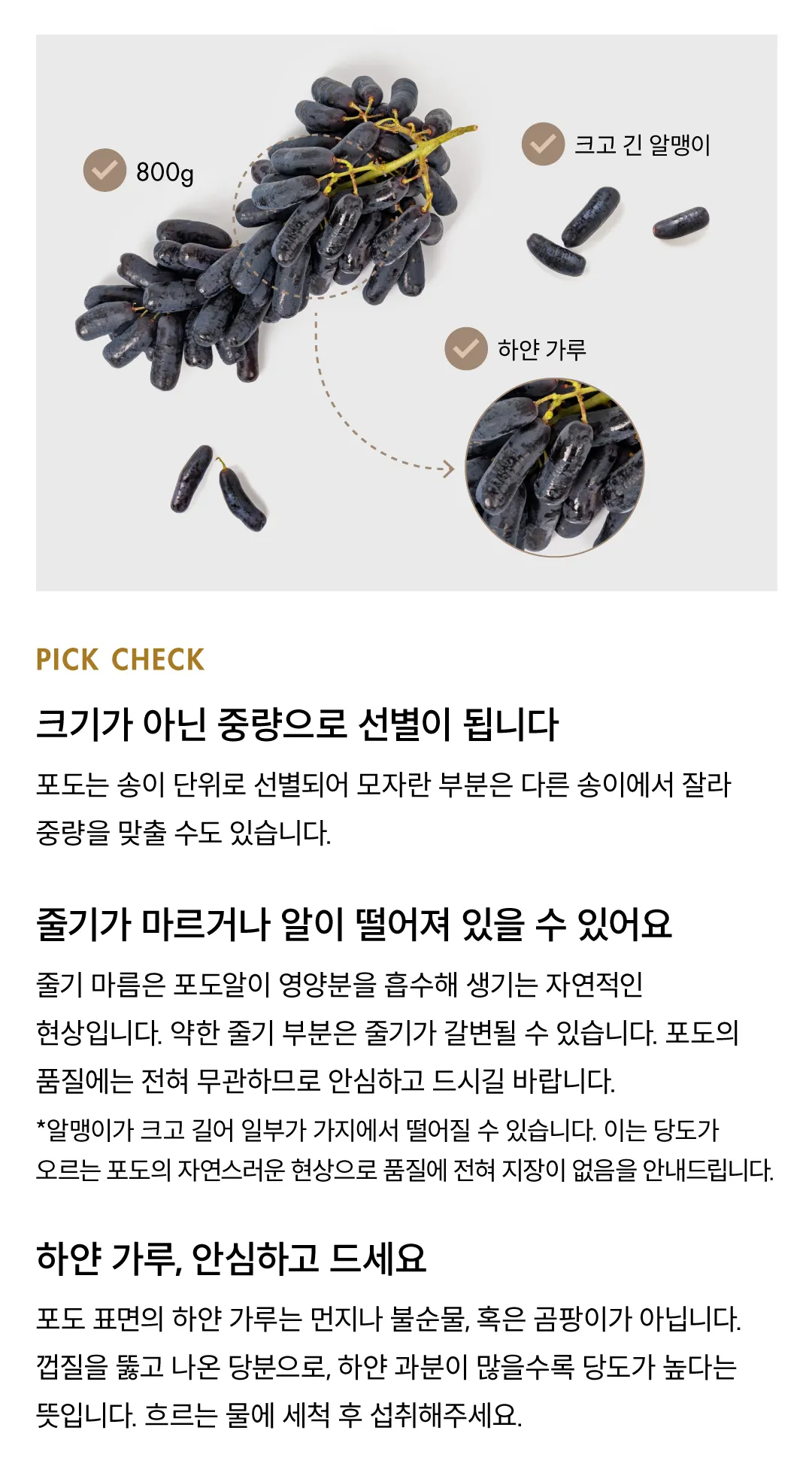 고당도 호주산 블랙 사파이어 포도