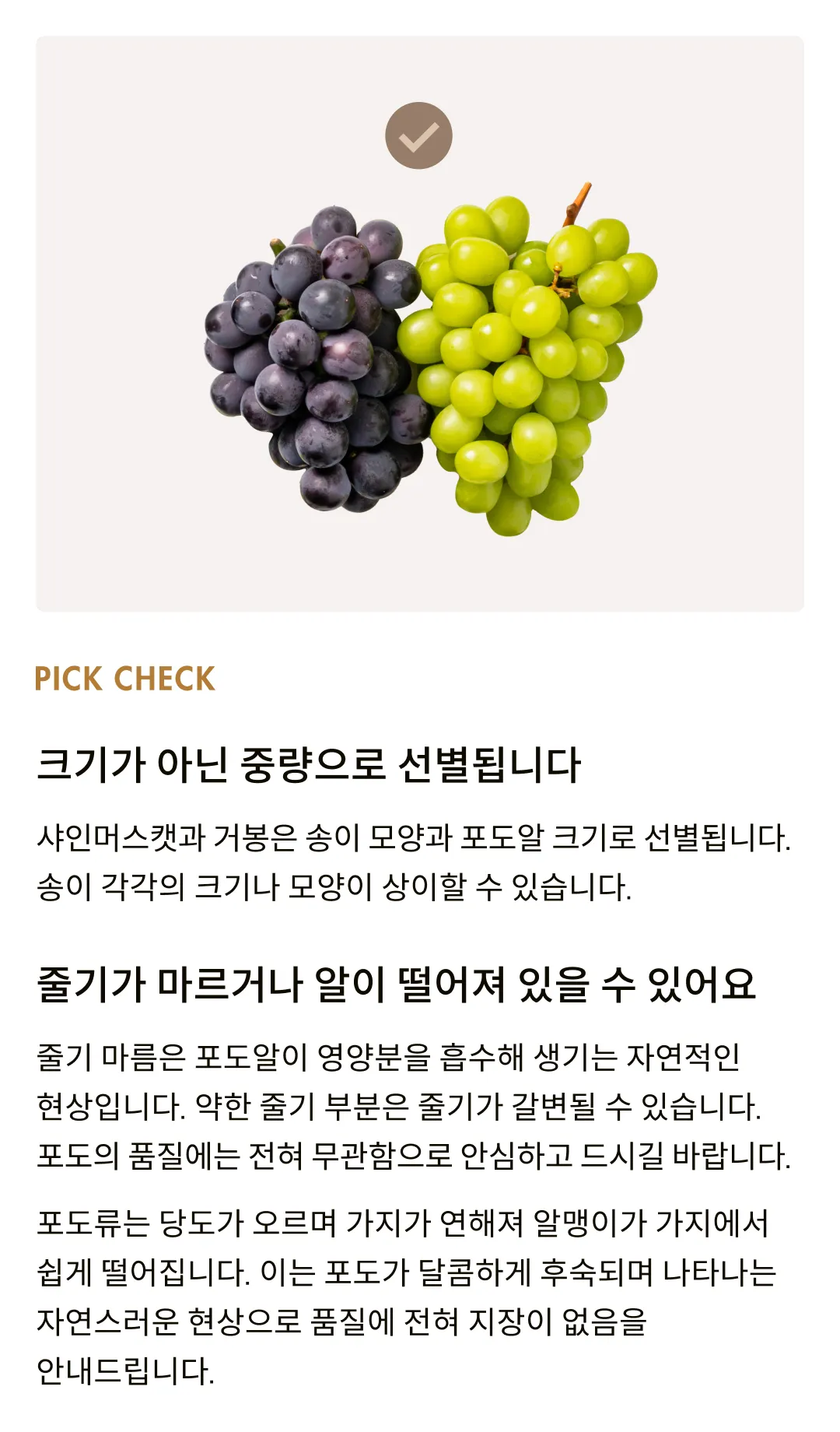 새콤한 거봉과 달콤한 샤인의 만남! '샤봉봉' 포도세트