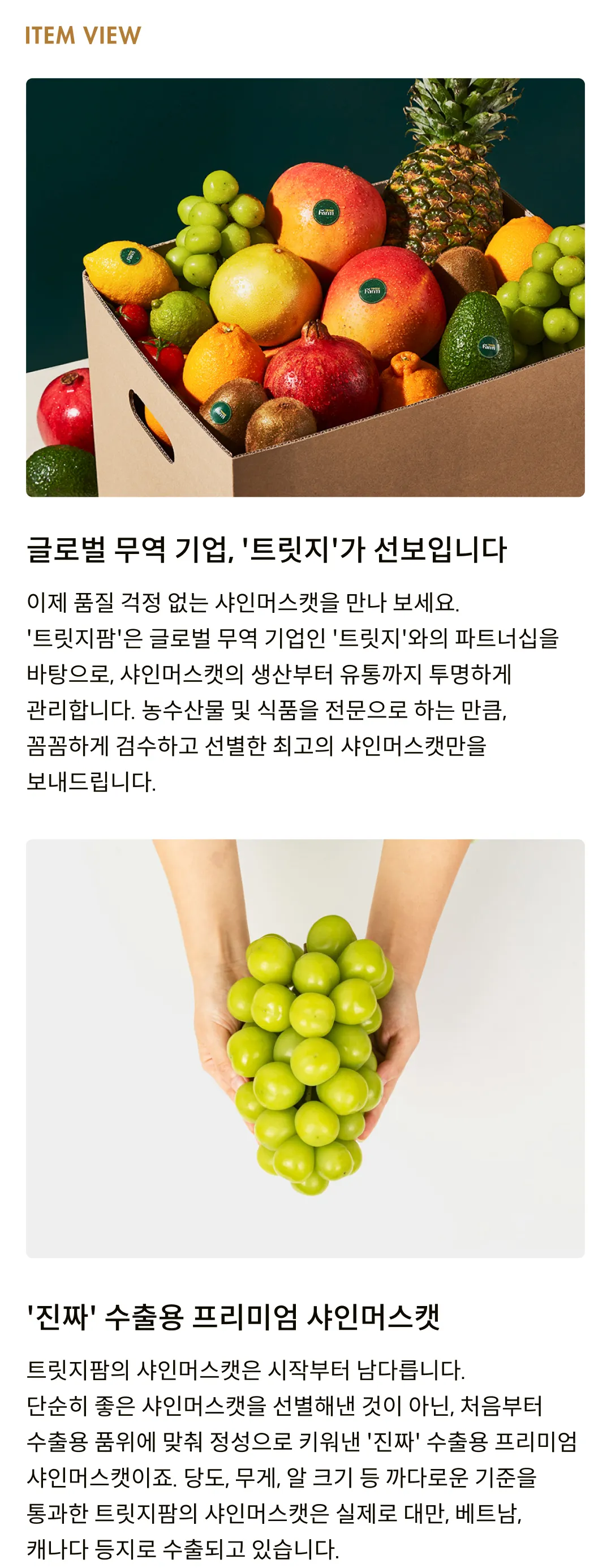 [수출용] GAP인증 프리미엄 샤인머스캣 (1.5kg, 2kg)