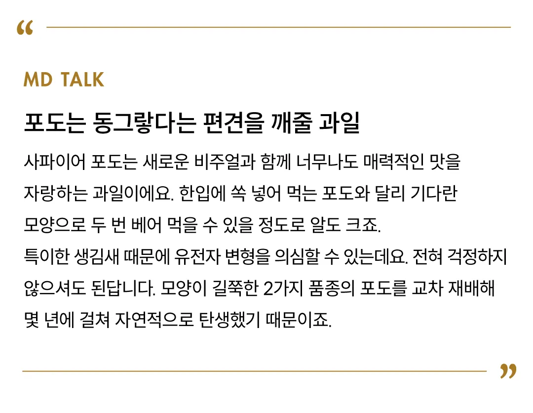 고당도 호주산 블랙 사파이어 포도