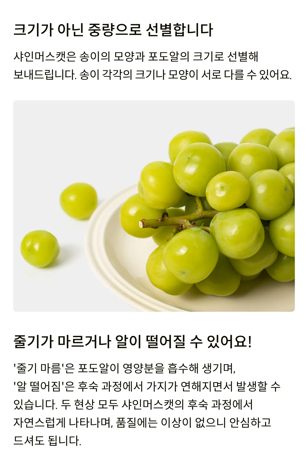 [수출용] GAP인증 프리미엄 샤인머스캣 (1.5kg, 2kg)