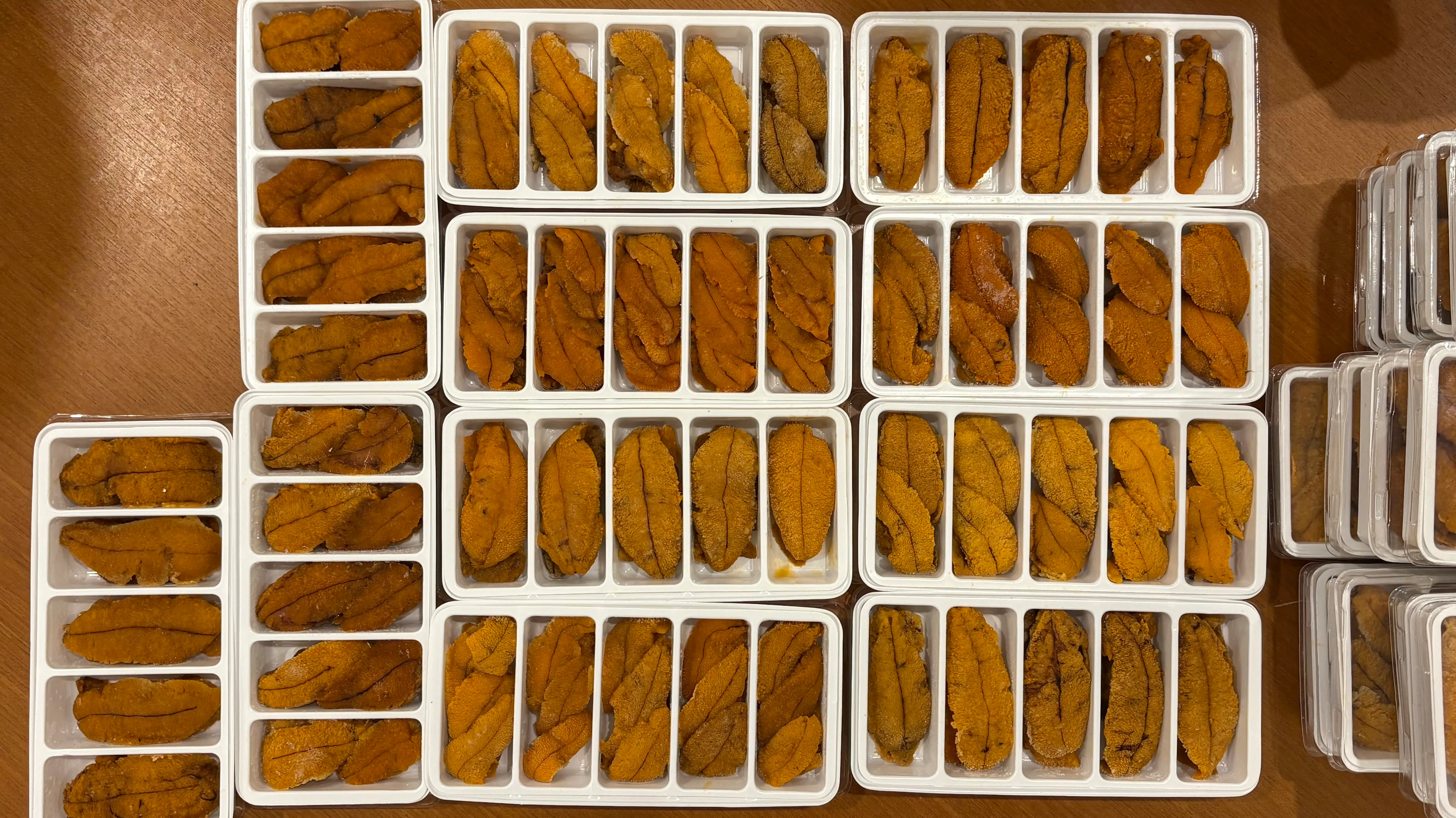 [임직원전용] 페루산 성게알 한판 100g
