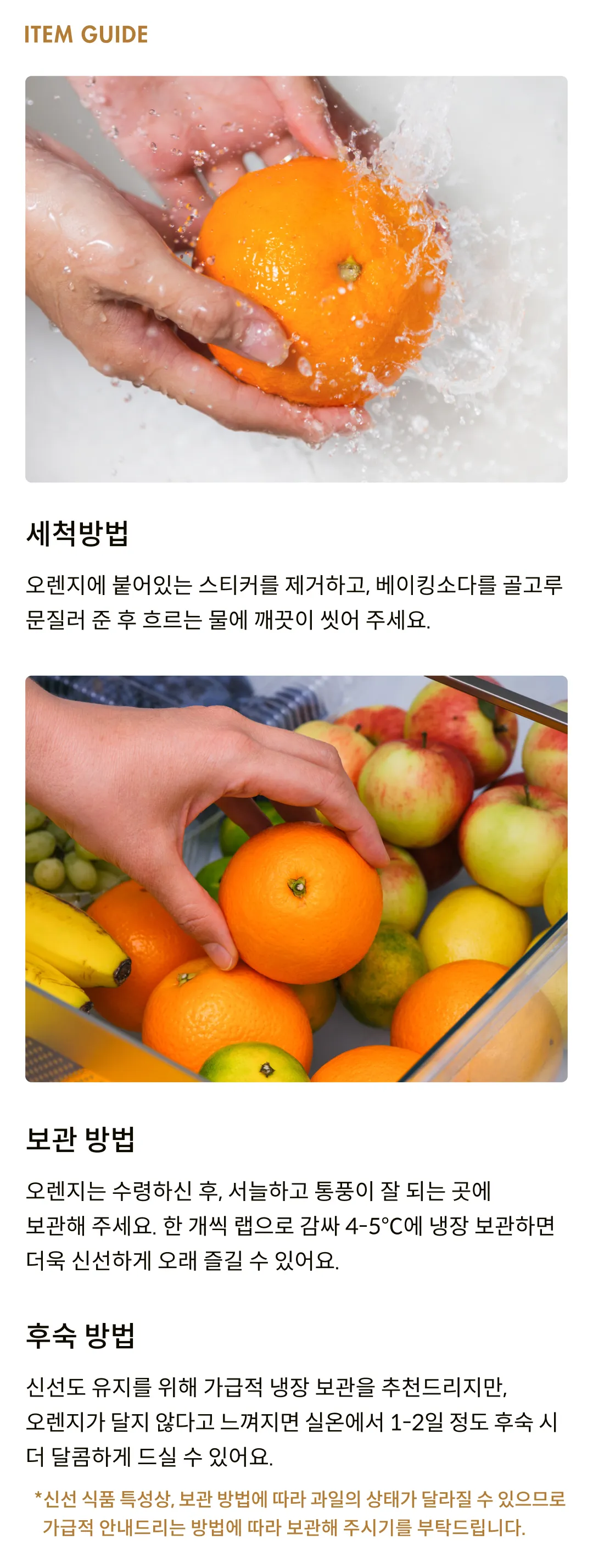 앉은 자리 순삭 각! 호주산 네이블 오렌지 5입