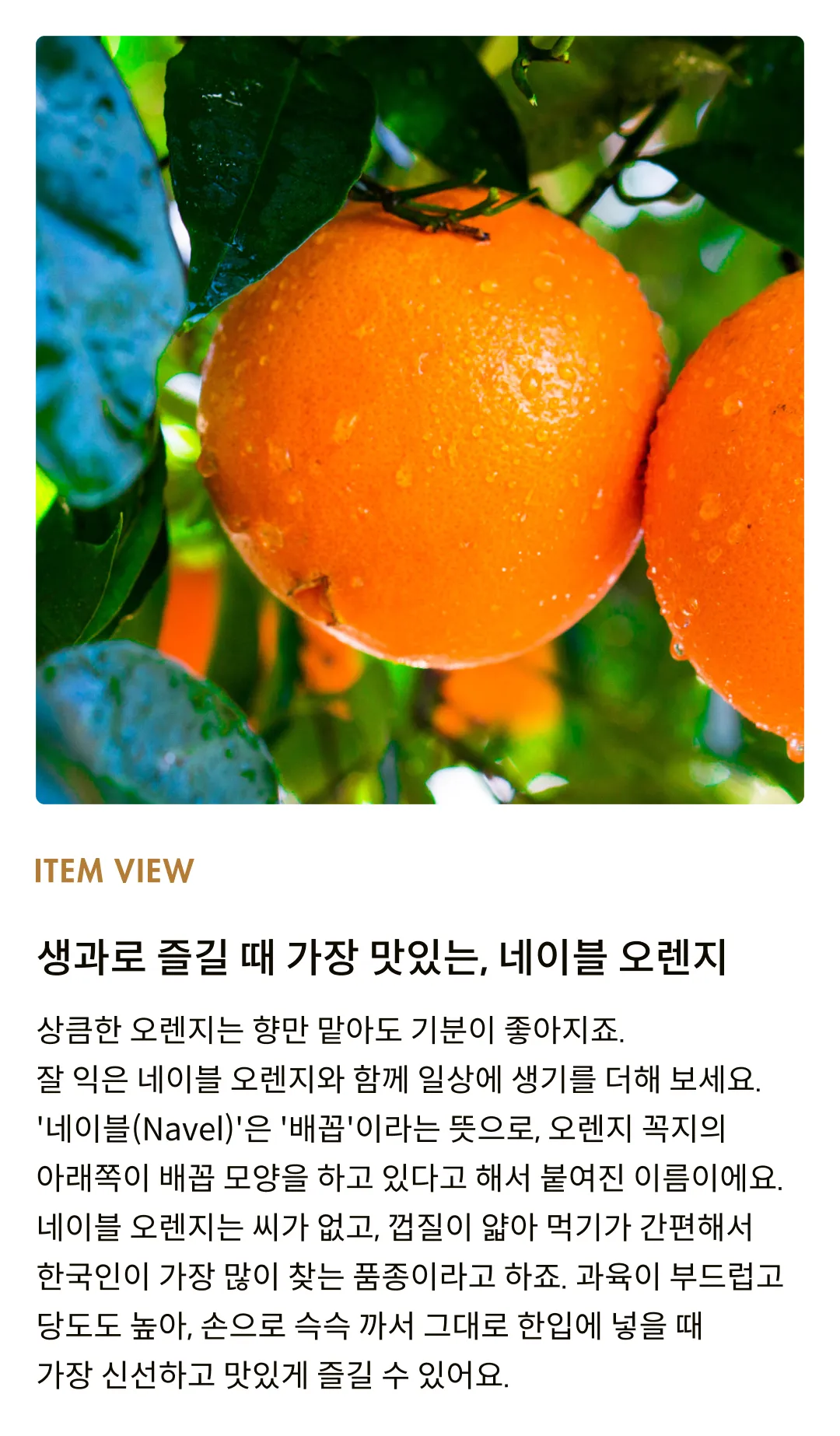 [고당도] 미국산 네이블 오렌지 (1kg,1.8kg)