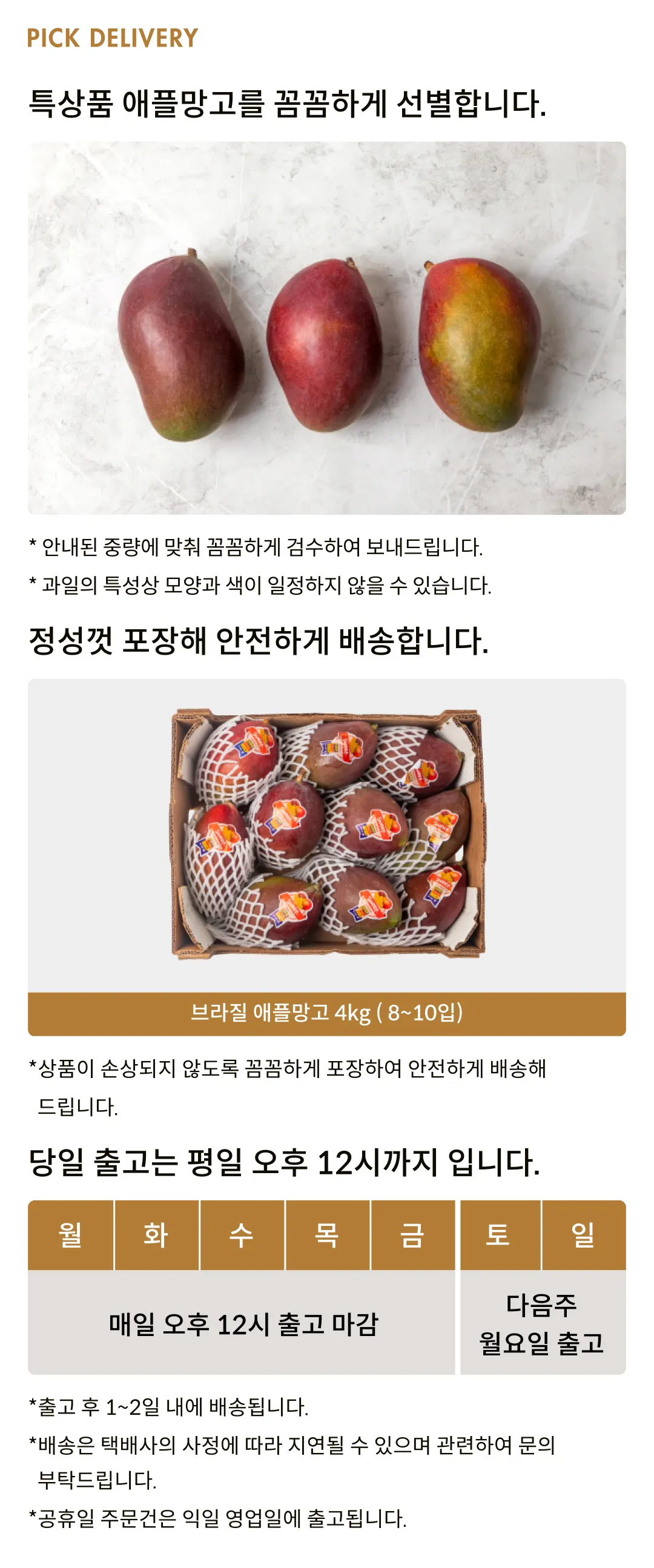 [항공직송] 브라질산 팔머 애플망고 2kg