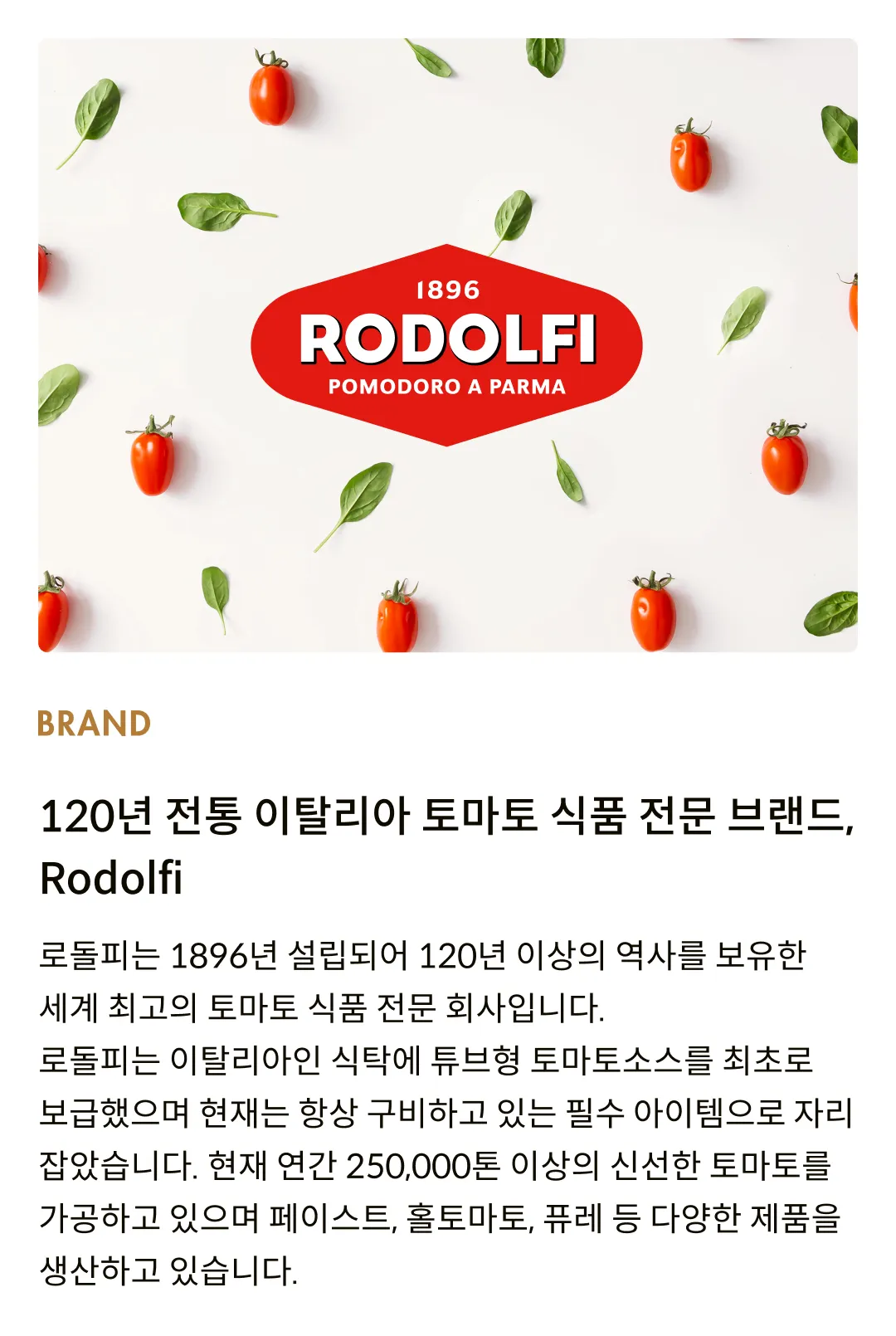[로돌피] 오리지널 토마토 농축 페이스트