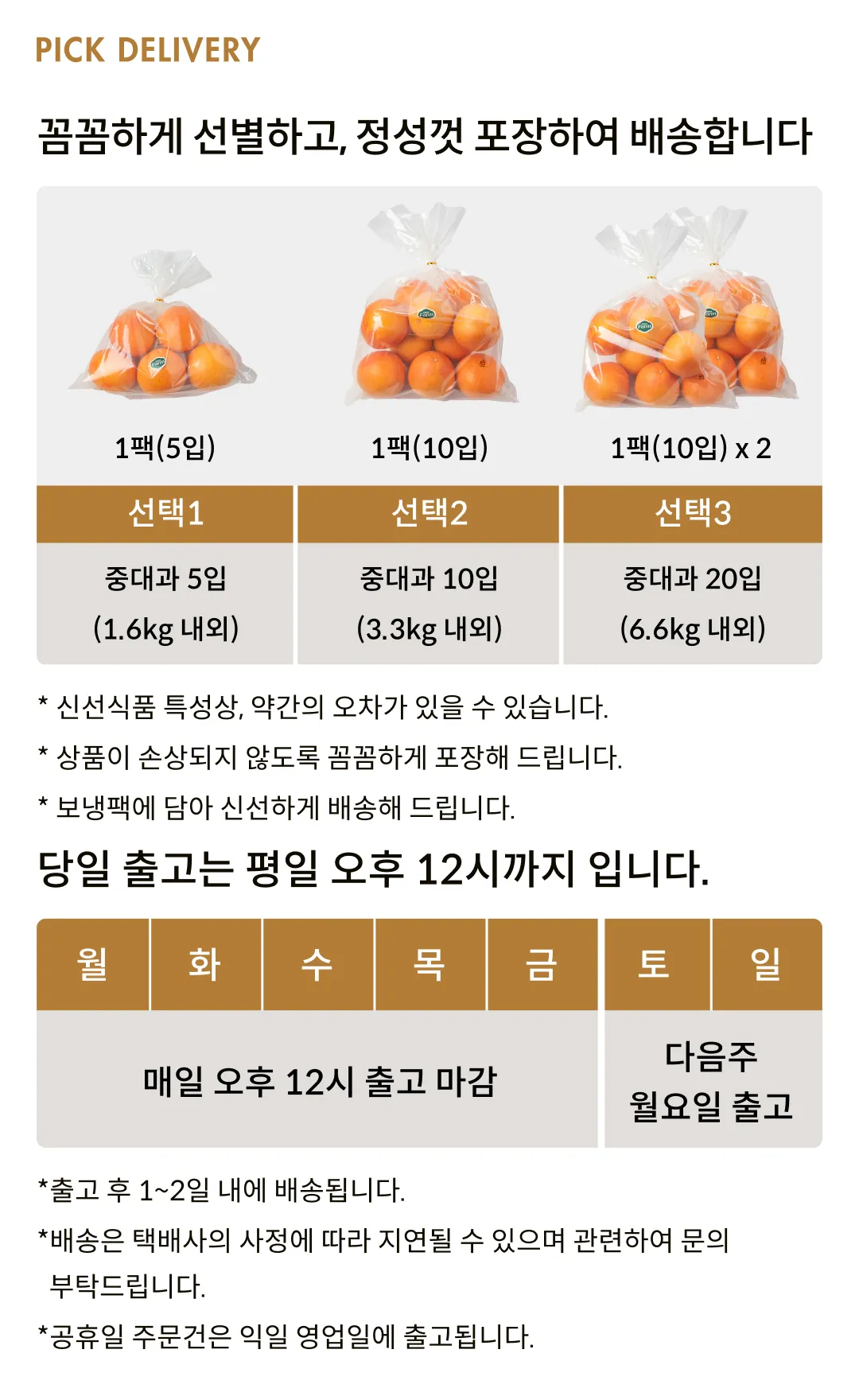 [제철과일] 남아공 자몽 중대과 (5입, 10입, 20입)