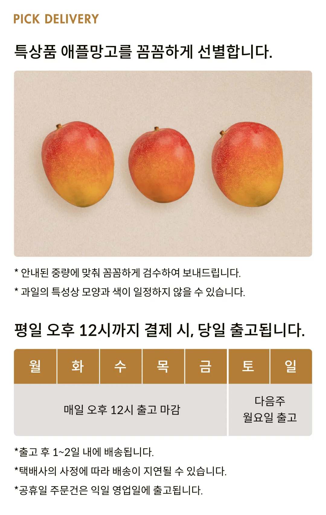 [항공직송] 페루산 켄트 애플망고 (2kg, 4kg)