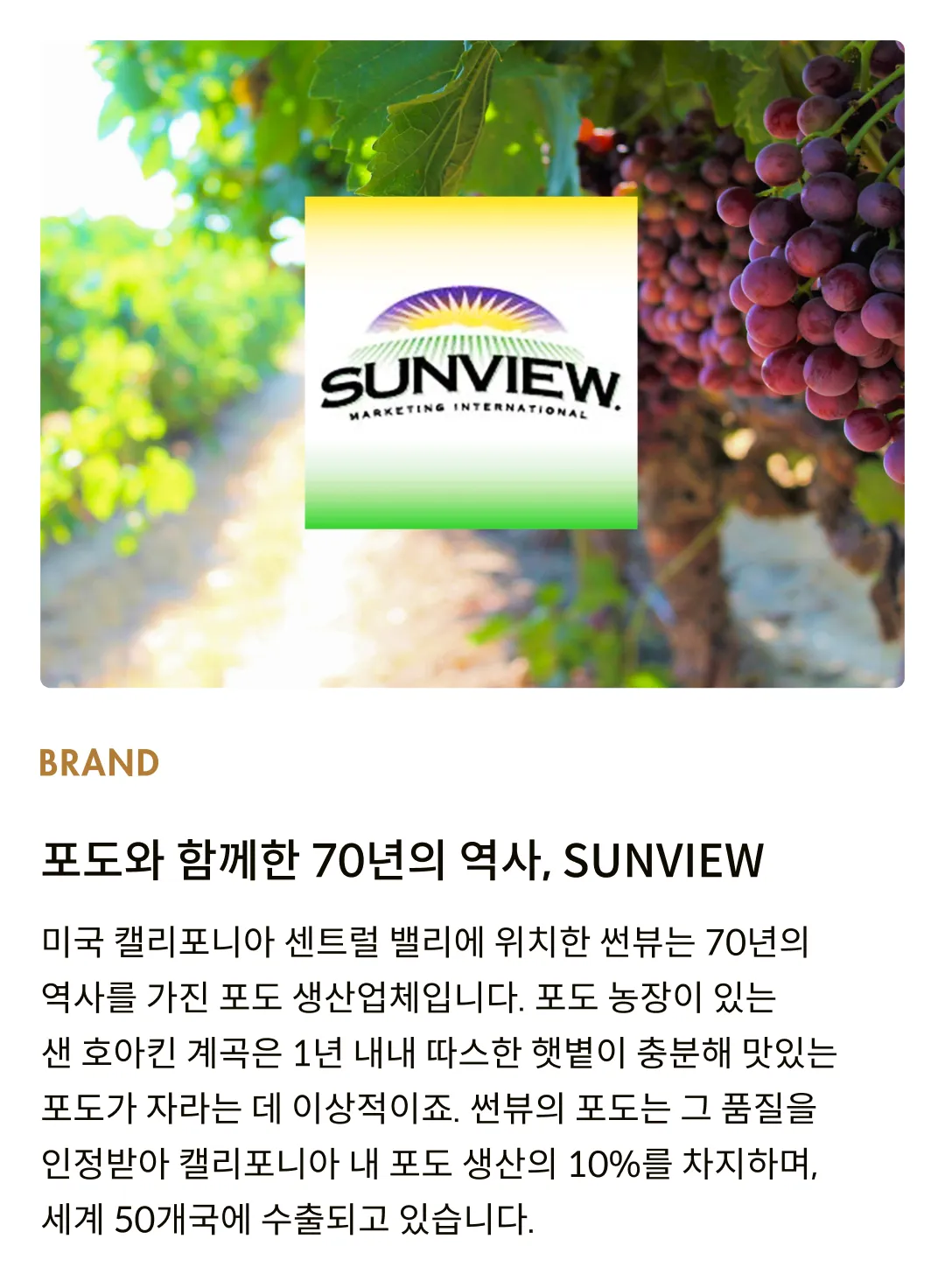 [썬뷰] 유기농 건포도 스낵팩