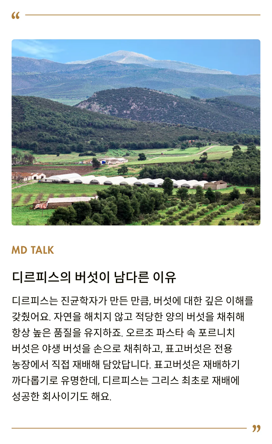 [디르피스] 포르치니 & 표고버섯 오르조 파스타 280g