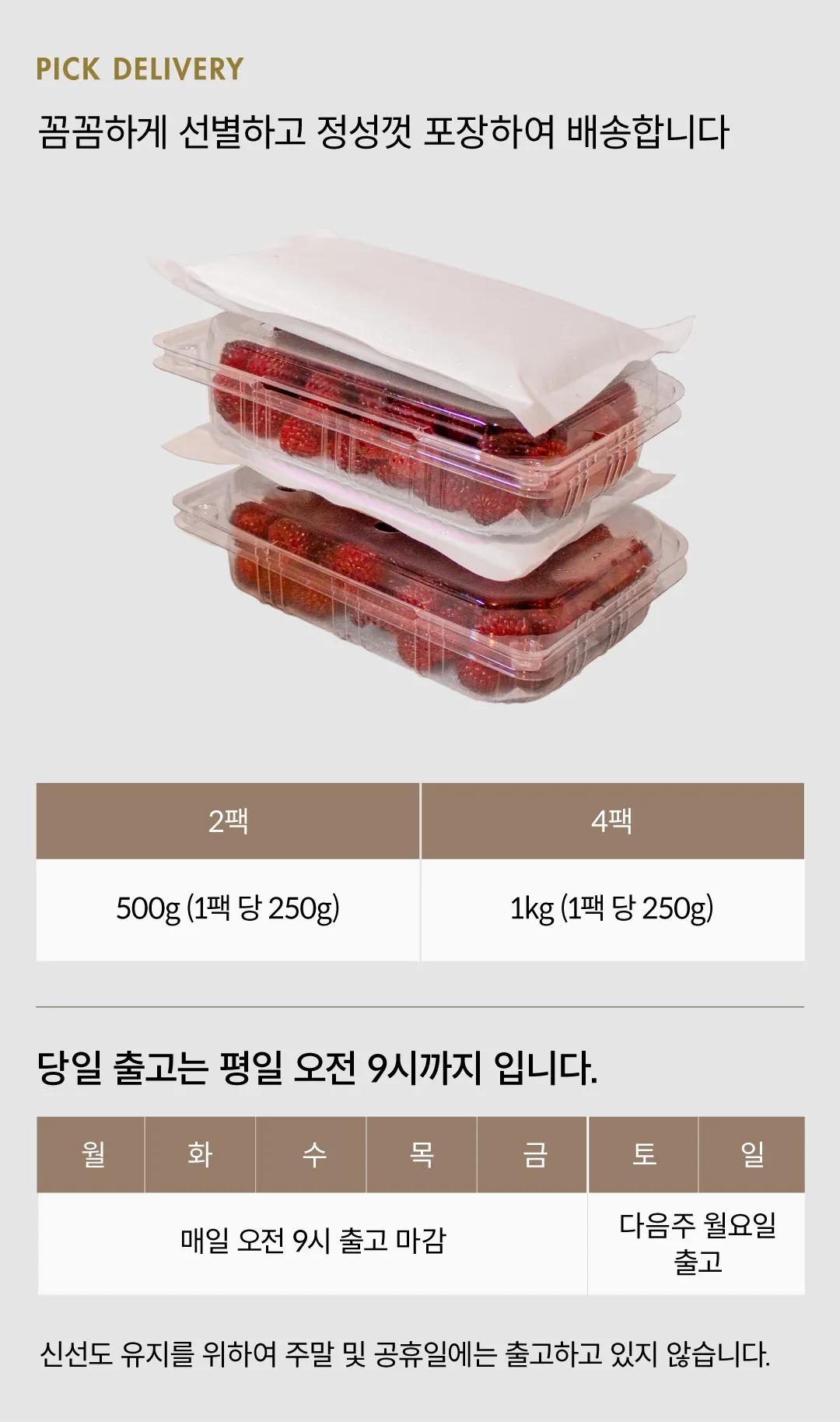 [대용량] 새콤달콤 포항 급냉 산딸기 1kg