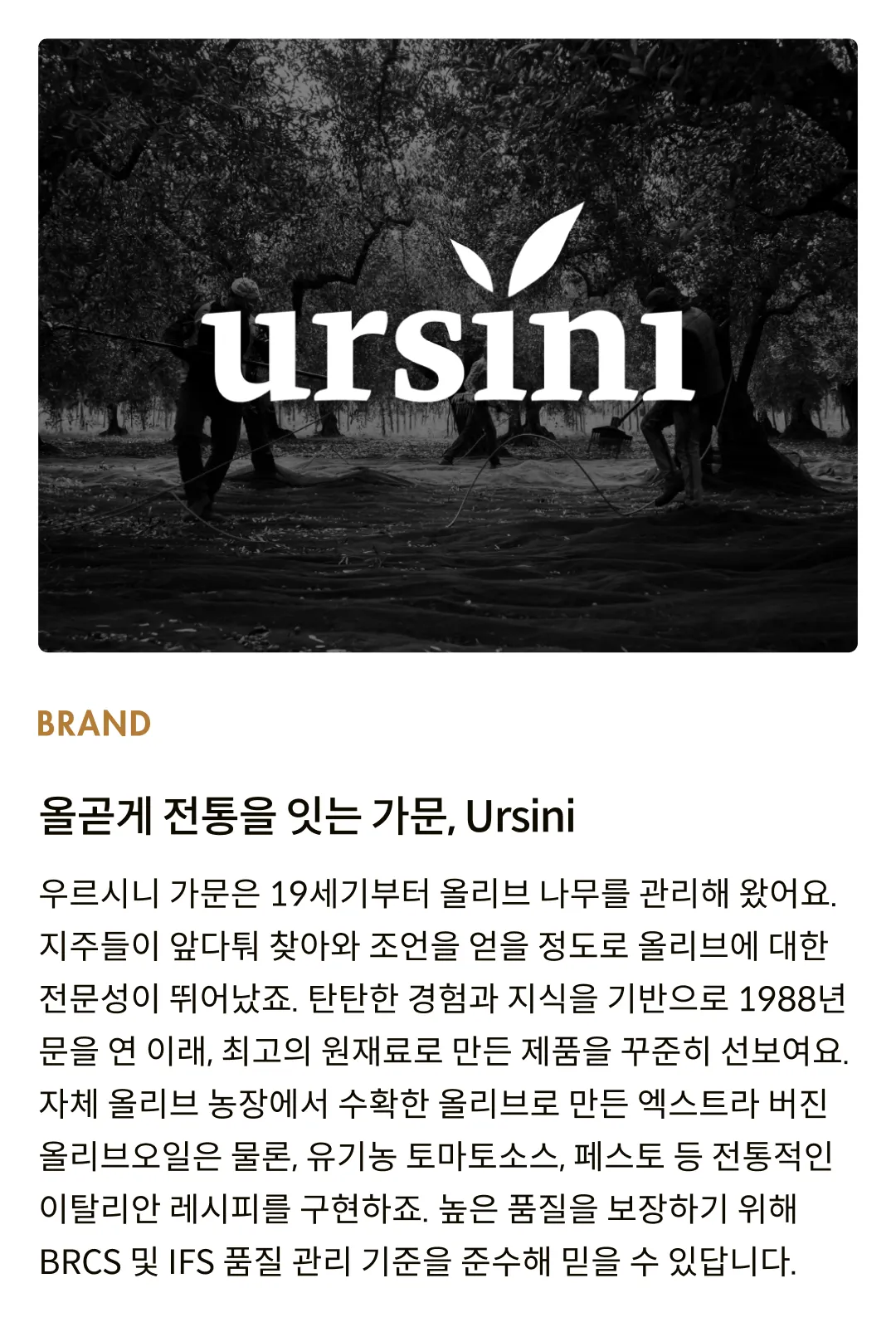 [우르시니] 유기농 토마토소스 3종 세트
