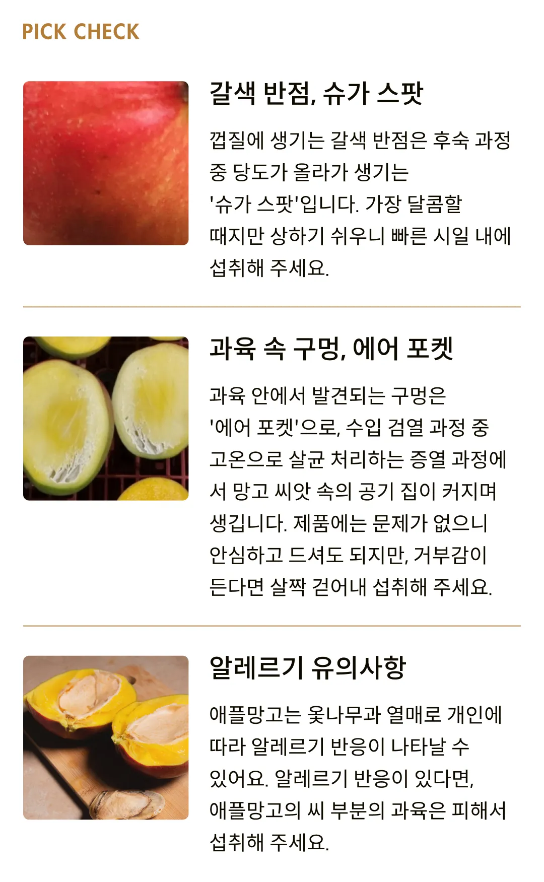 [항공직송] 페루산 켄트 애플망고 (2kg, 4kg)