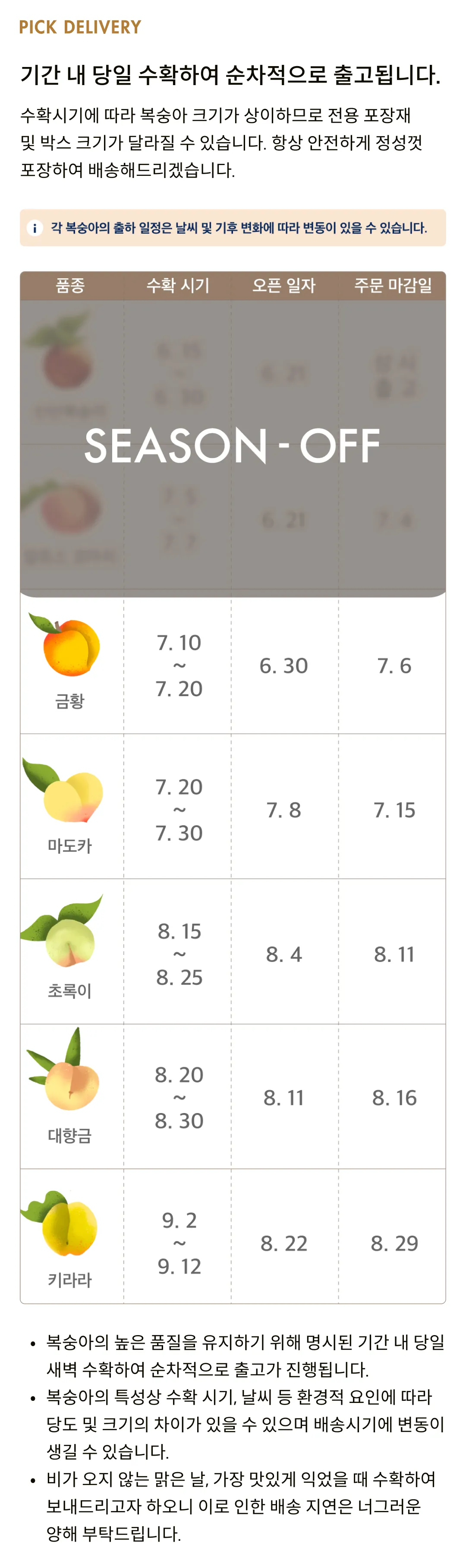 이런 복숭아는 처음일 걸! 특수품종 백도복숭아 3종