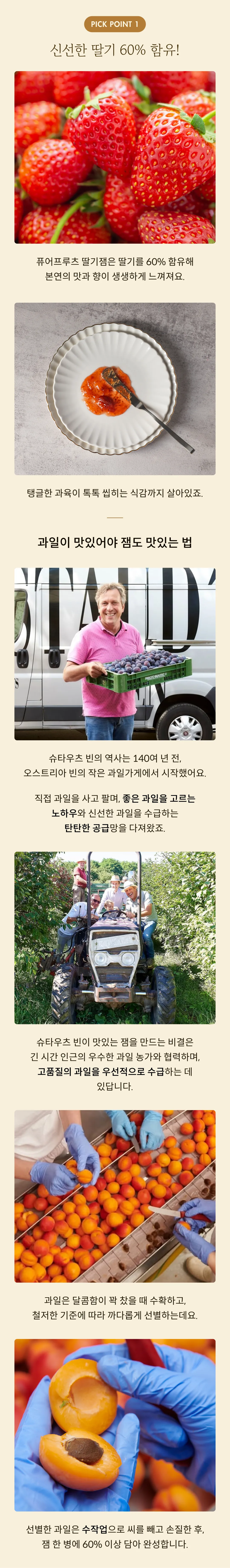 [슈타우츠빈] 퓨어프루츠 딸기잼 250g