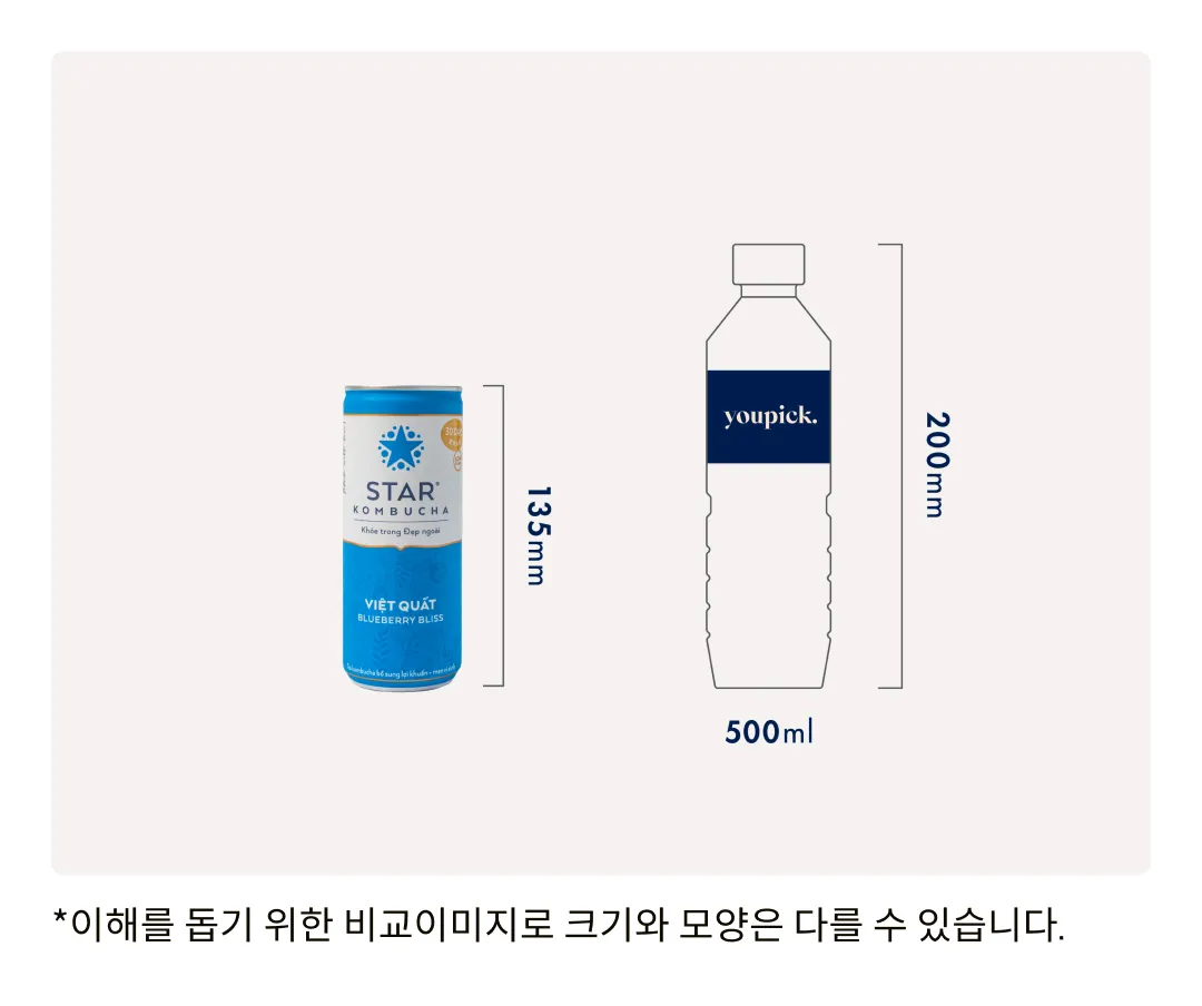 [스타 콤부차] 블루베리 블리스 250ml