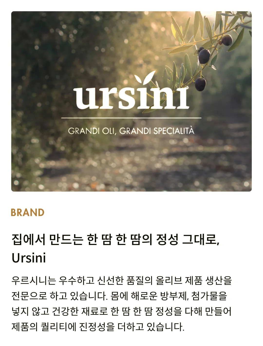 [우르시니] 그린 올리브 & 바질 페스토 170g